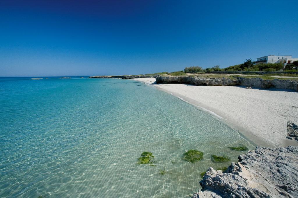 فيلا Trullo Country Relax Lumieri ألبيروبيللو المظهر الخارجي الصورة